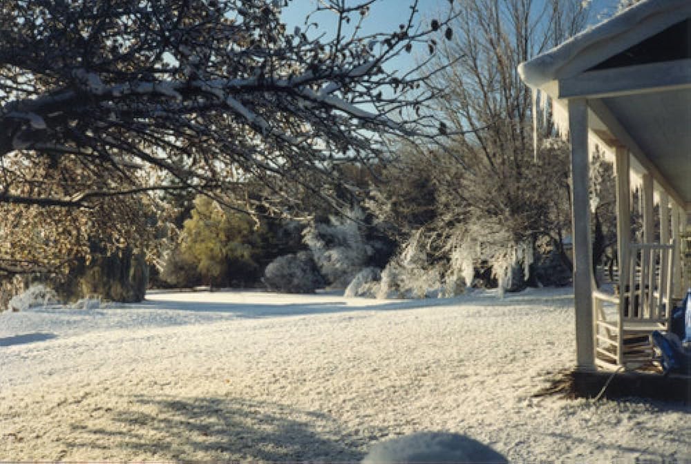 ファニー・ファーム／勝手にユートピアの画像