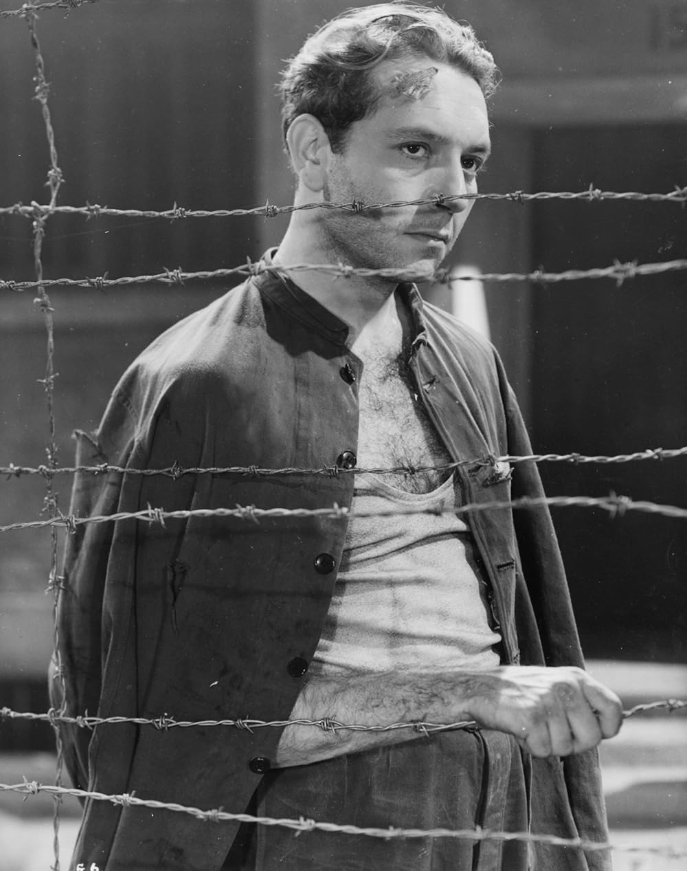 「ミュンヘンへの夜行列車」の画像