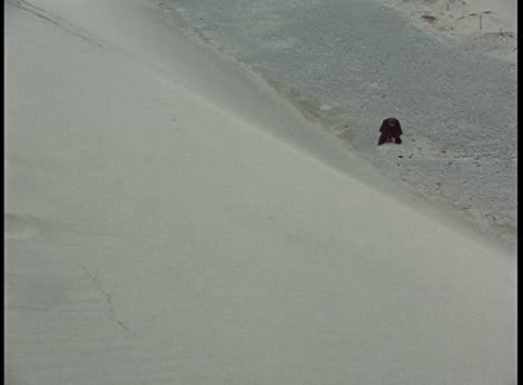 ツィゴイネルワイゼンの画像