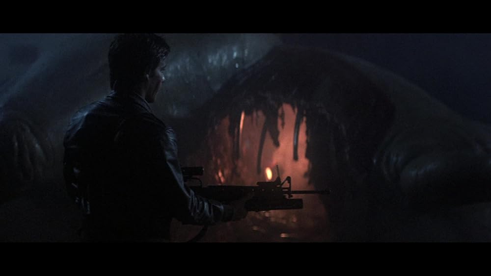 マイ・サイエンス・プロジェクトの画像