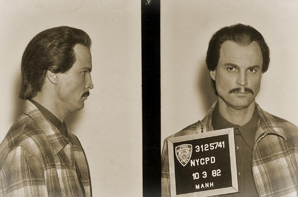 トゥルー・ビリーヴァー／はぐれ弁護士の執念の画像