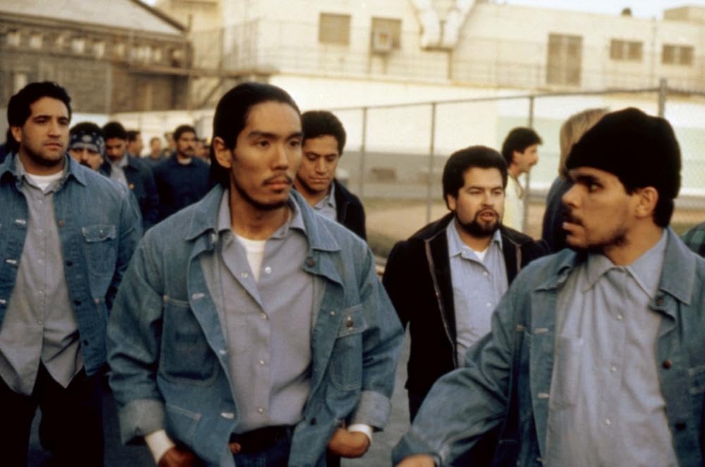 トゥルー・ビリーヴァー／はぐれ弁護士の執念の画像