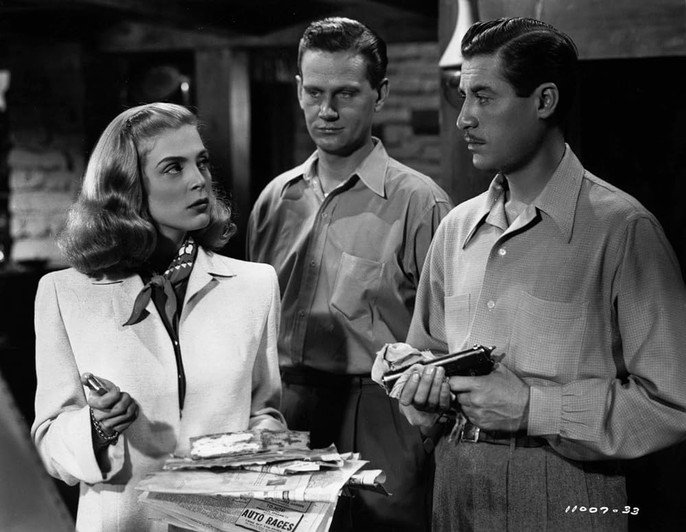 砂漠の怒りの画像