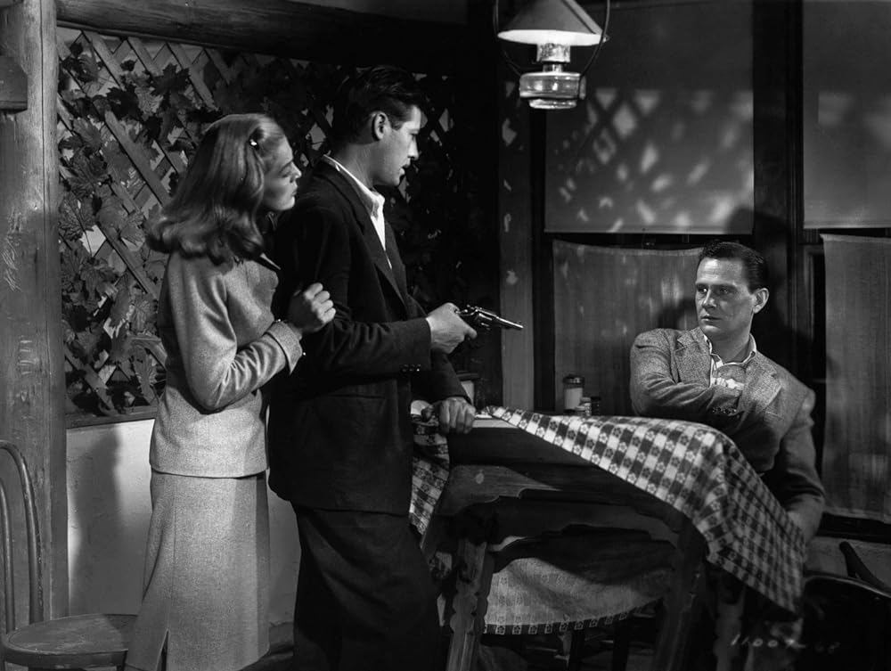 砂漠の怒りの画像