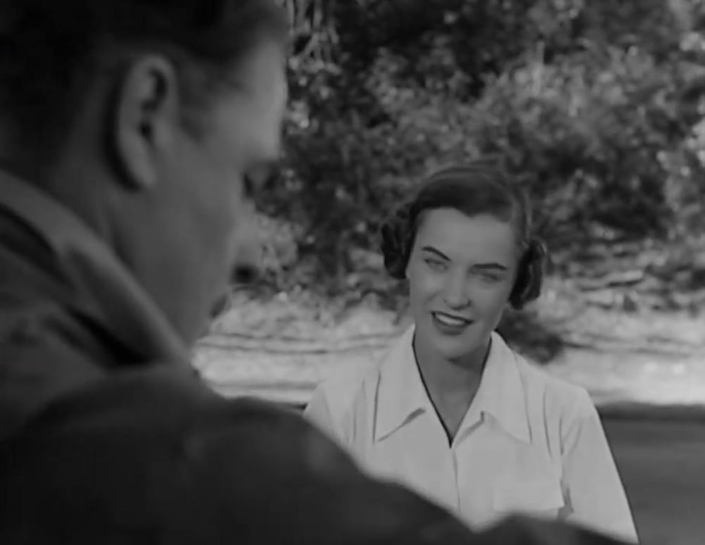 狂った殺人計画／インパクトの画像