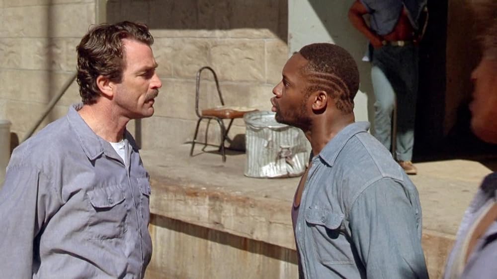 イノセントマン／仕組まれた罠の画像