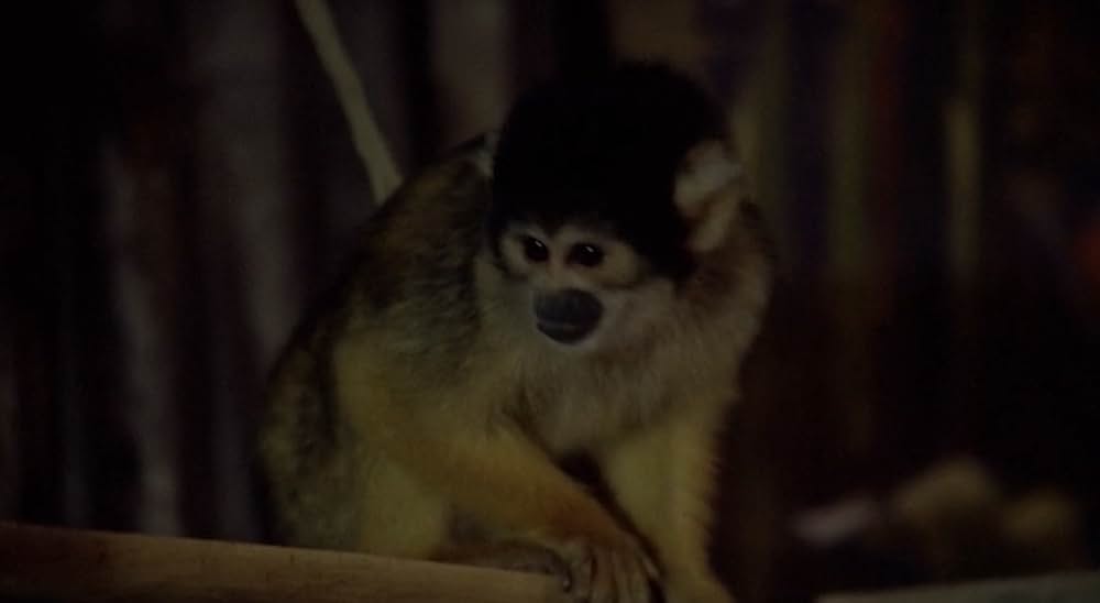 ラスト・ウォリアー／最後のサムライの画像