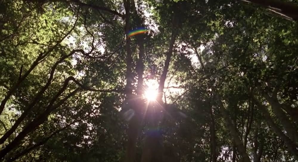 ラスト・ウォリアー／最後のサムライの画像