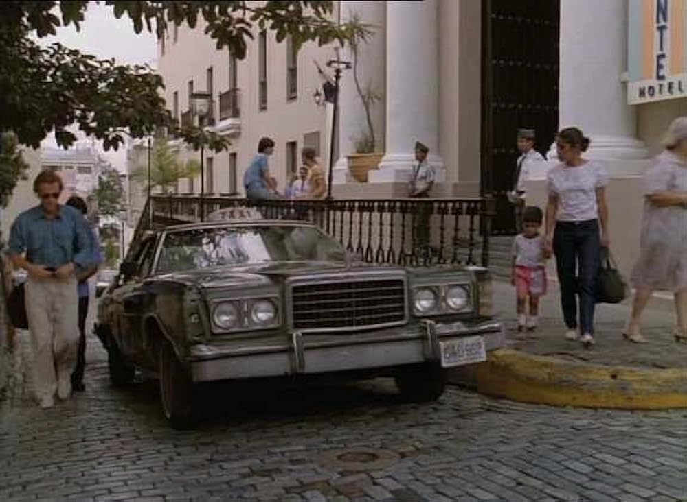 キャット・チェイサーの画像