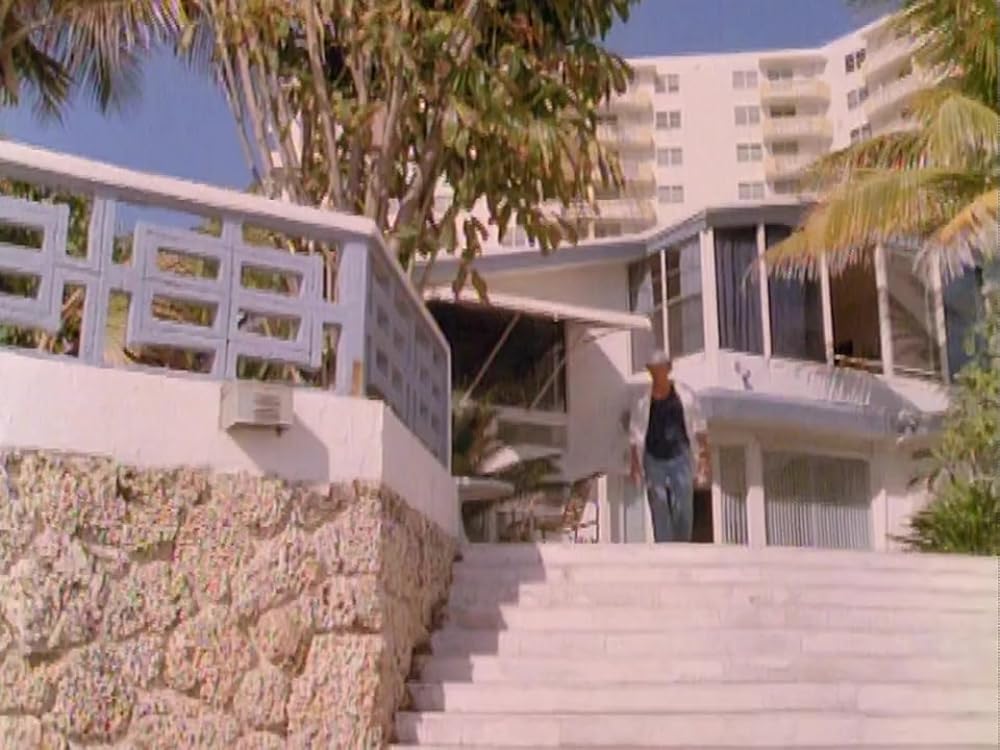 キャット・チェイサーの画像