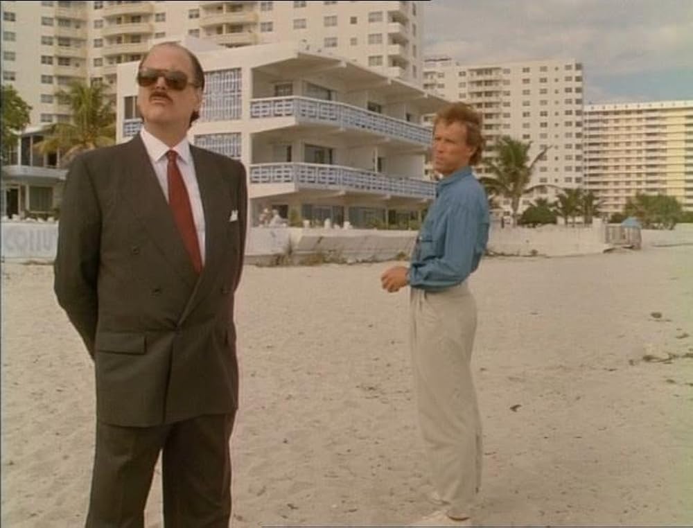 キャット・チェイサーの画像