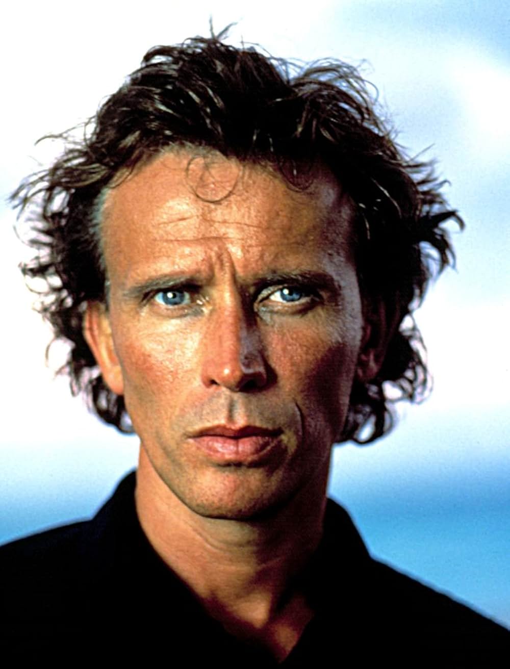 キャット・チェイサーの画像