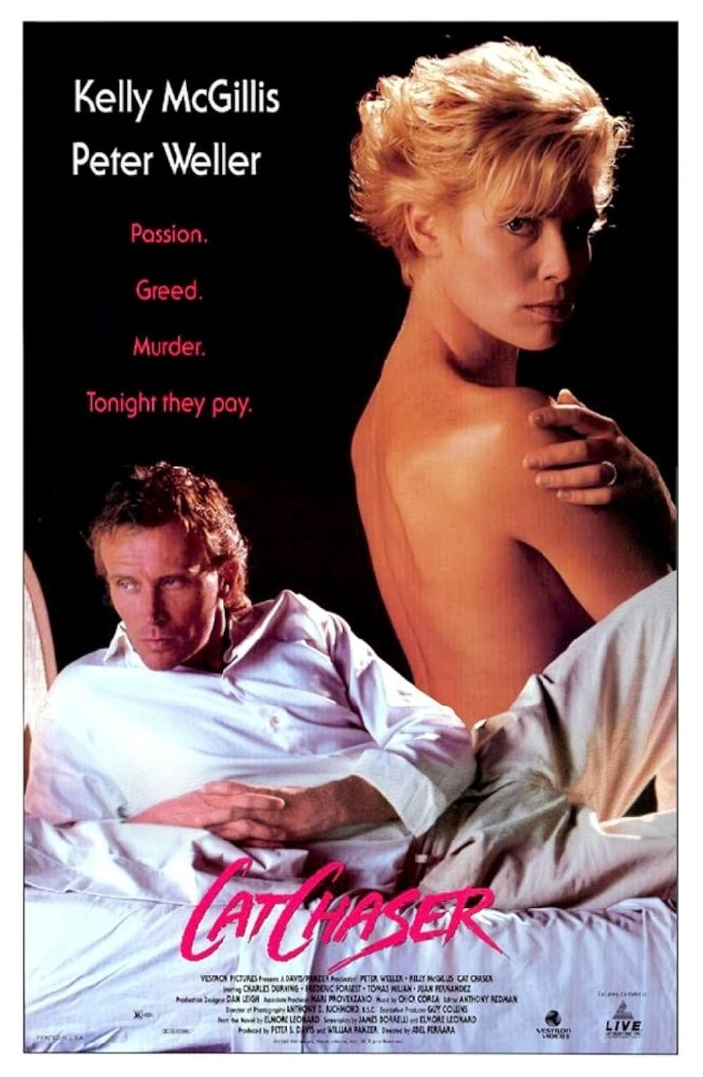 キャット・チェイサーの画像