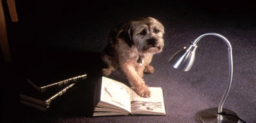 惑星「犬」。の画像