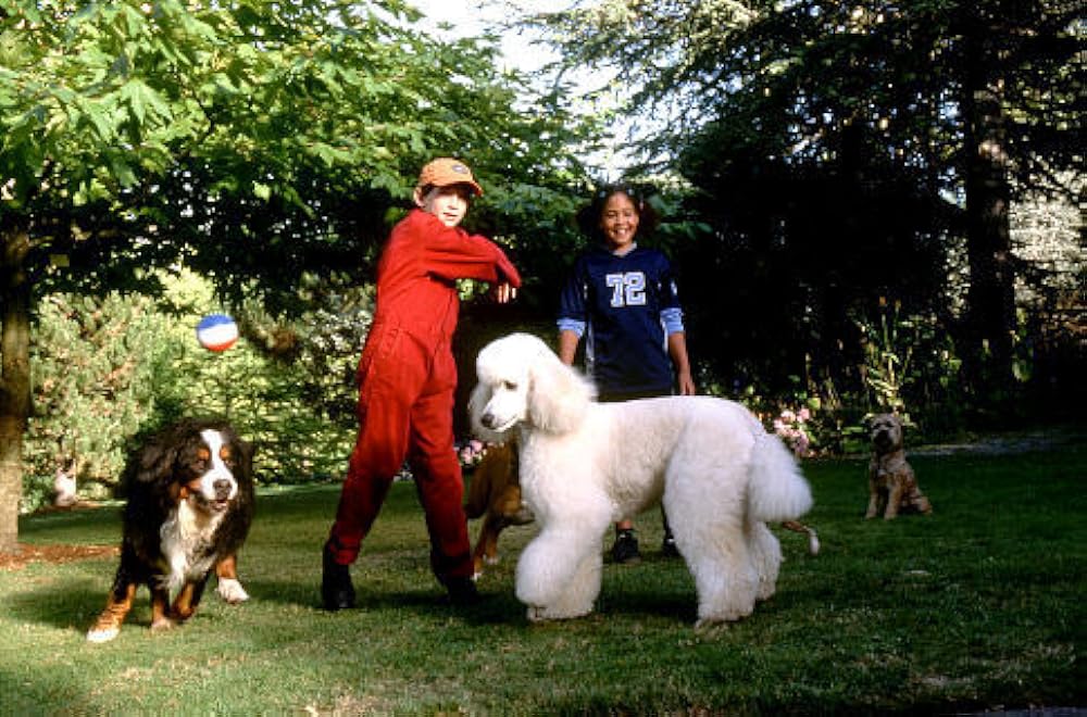 「惑星「犬」。」の画像