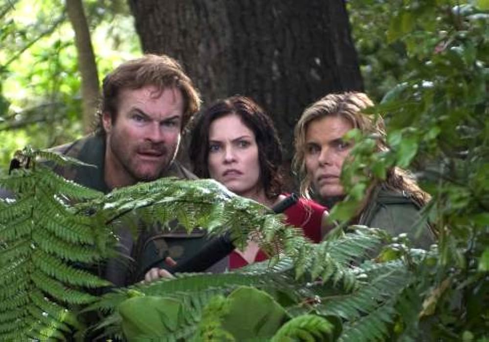 エア・フォース IIの画像