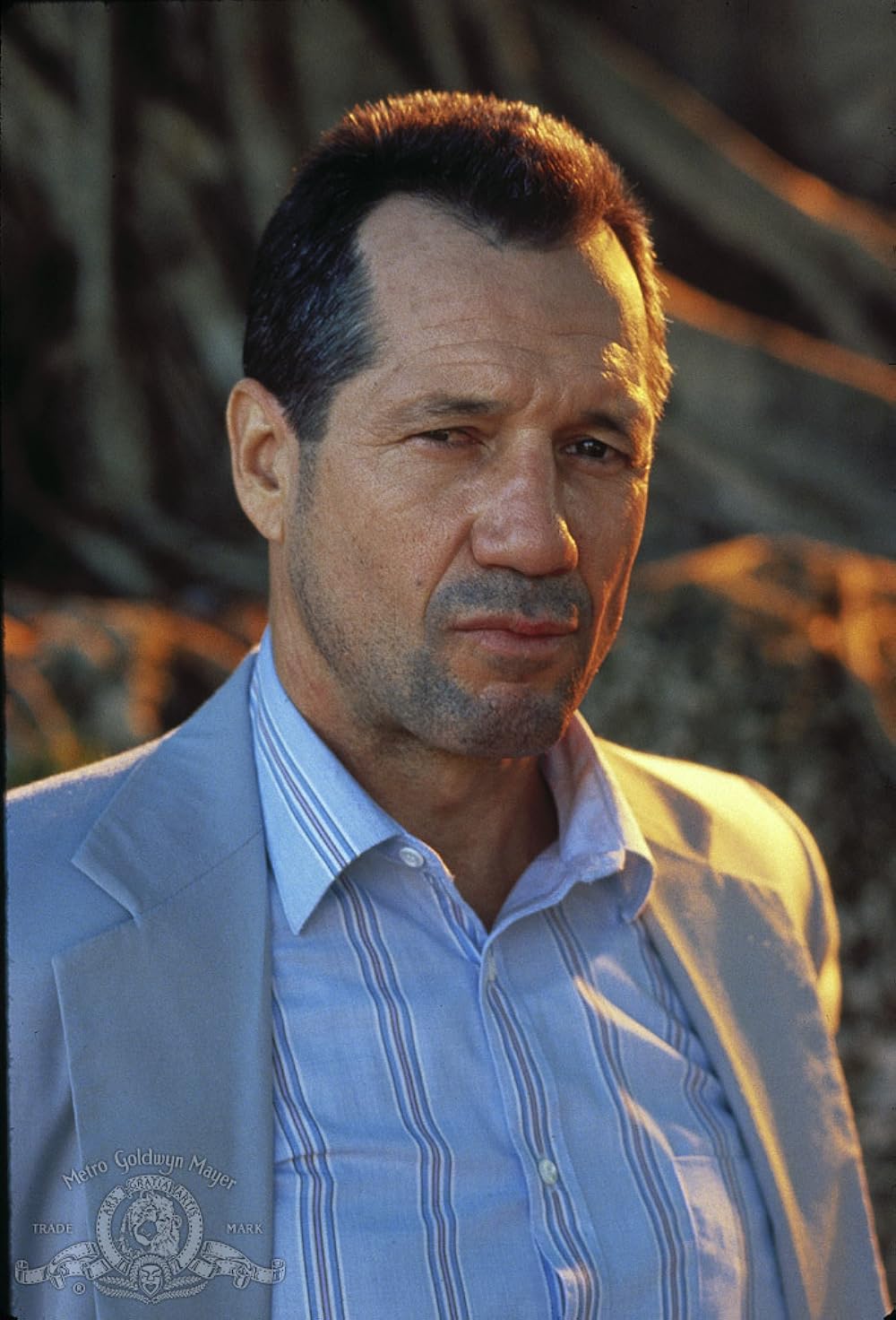 マイアミ・ブルースの画像