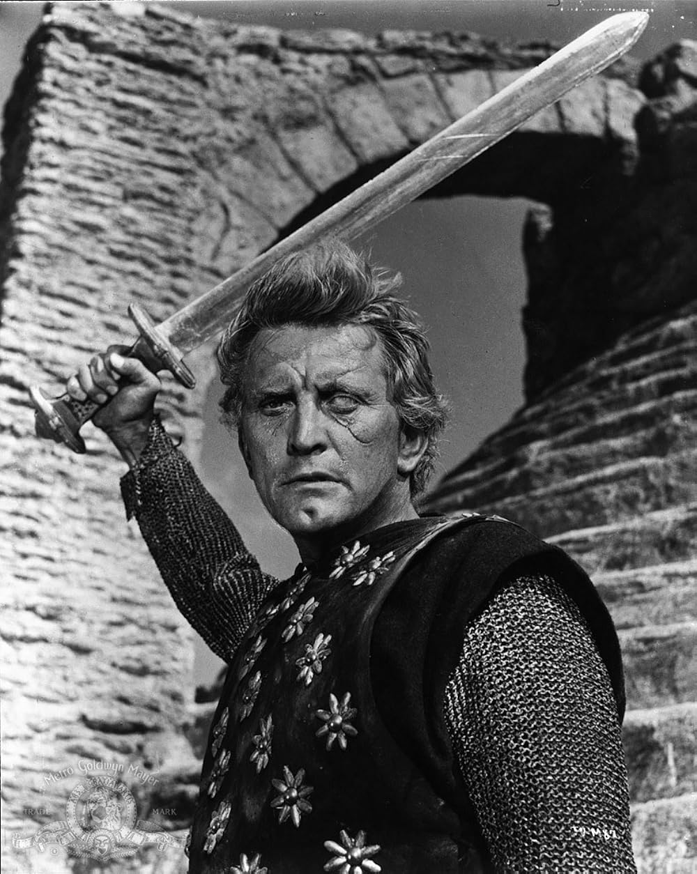 バイキングの画像