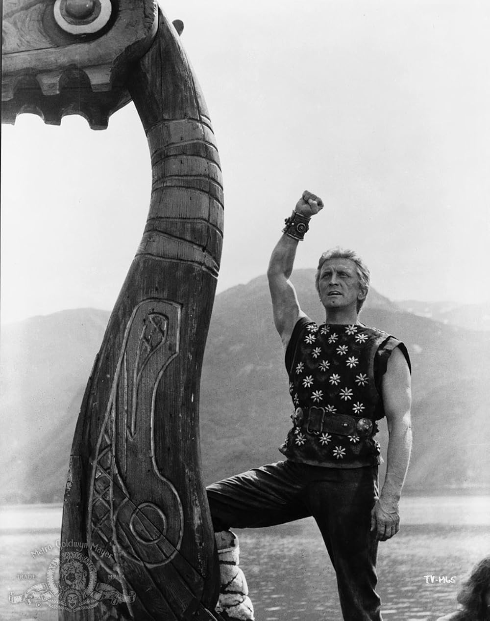 バイキングの画像