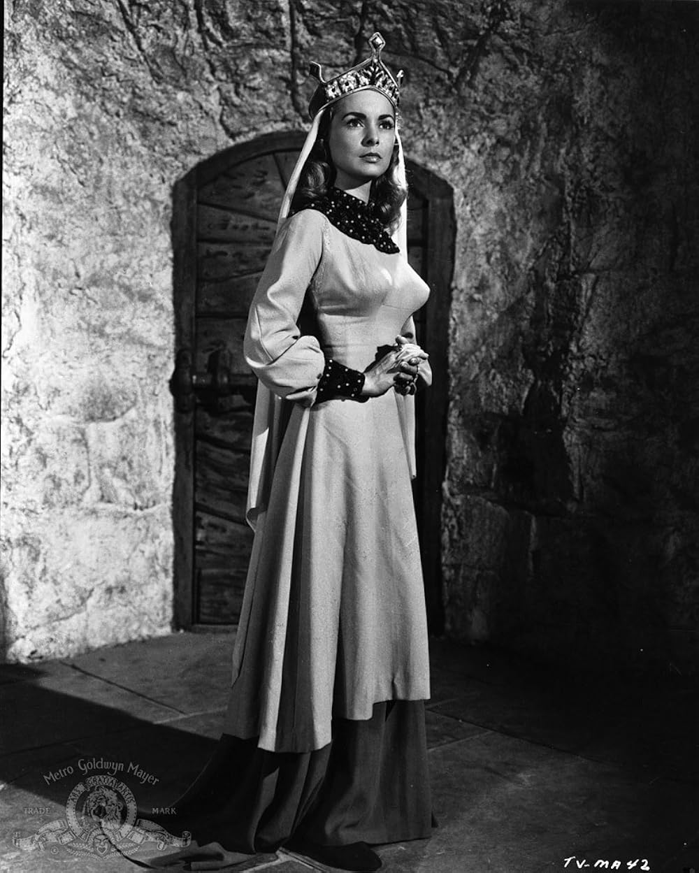 バイキングの画像