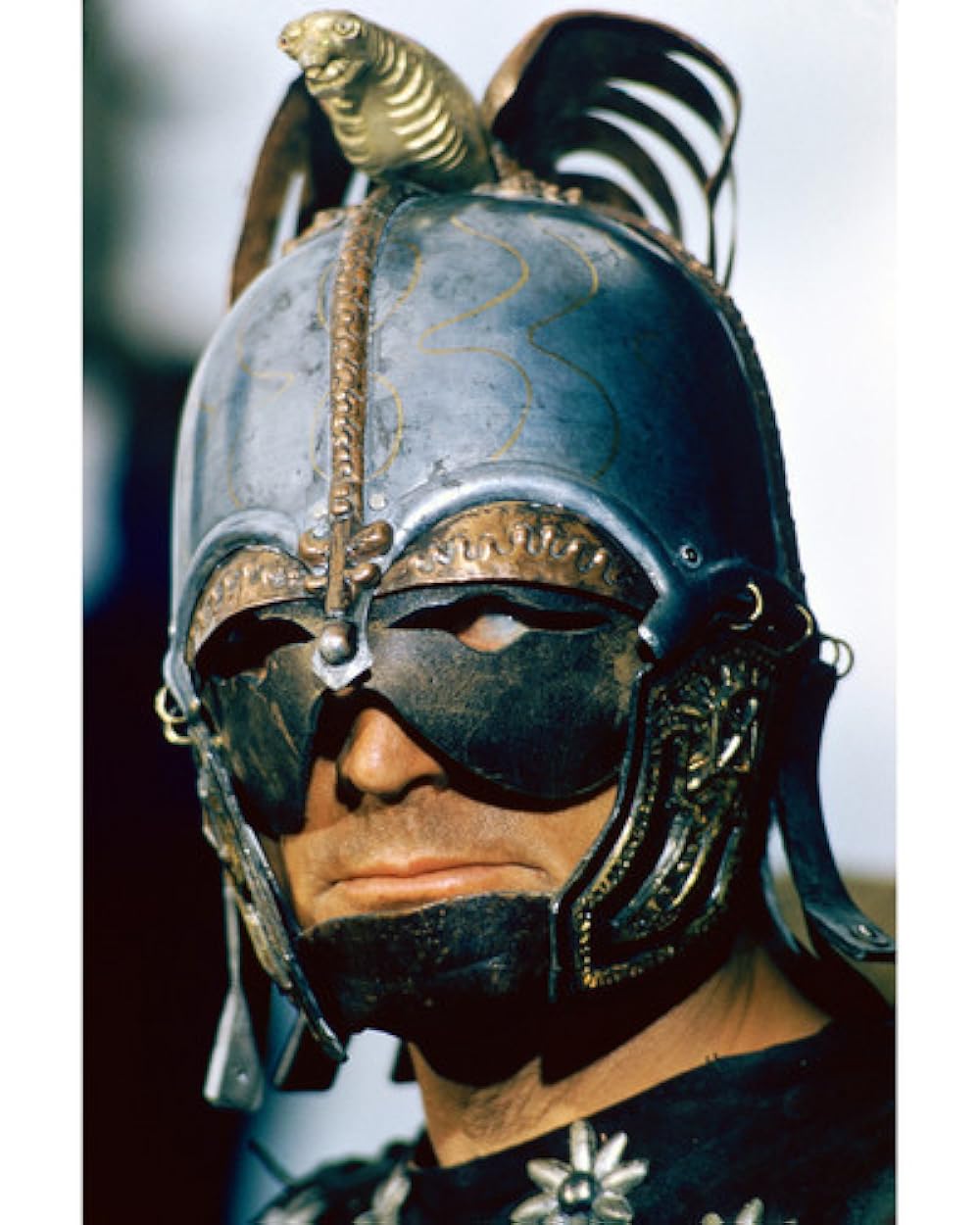 バイキングの画像