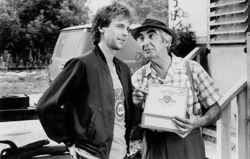 微笑みがえしの画像