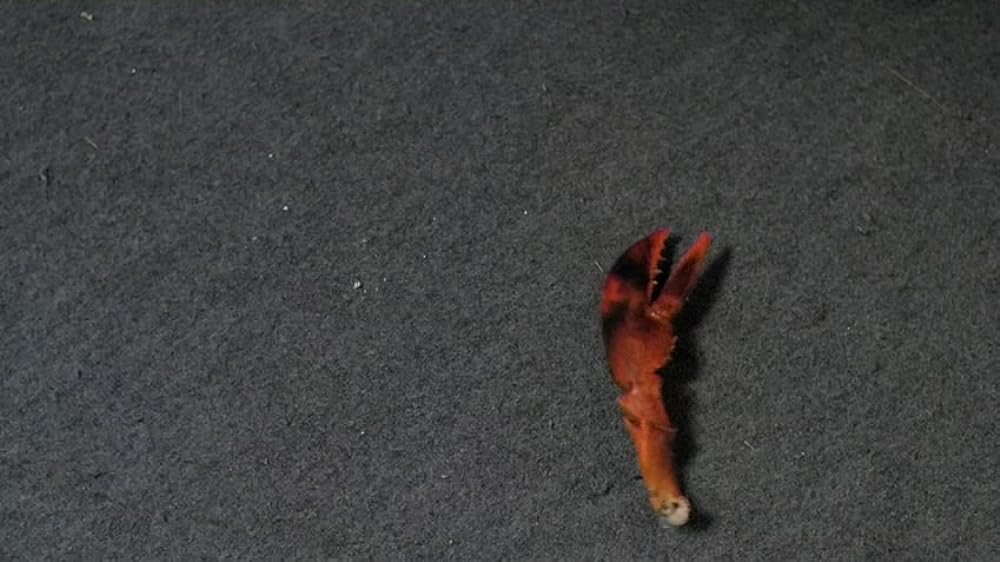 フロント・ページの画像