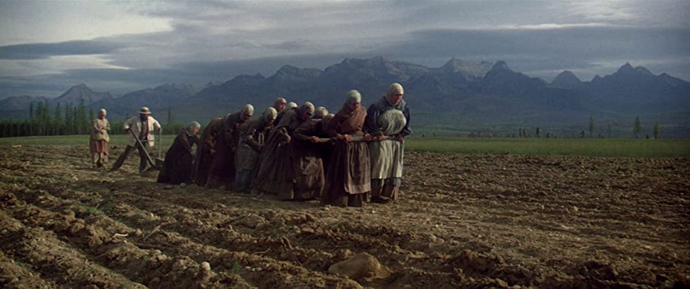 天国の門の画像