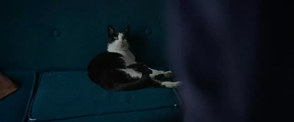 ある女流作家の罪と罰の画像