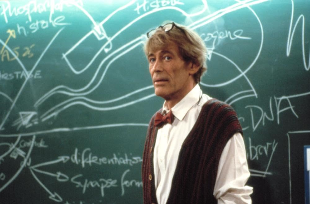 クリエイターの画像