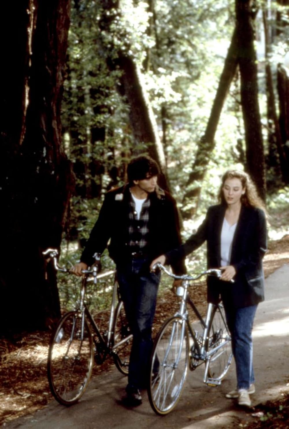 クリエイターの画像