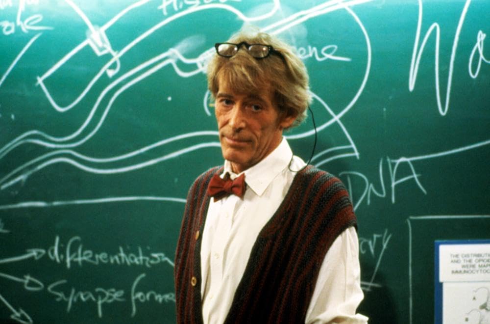 クリエイターの画像