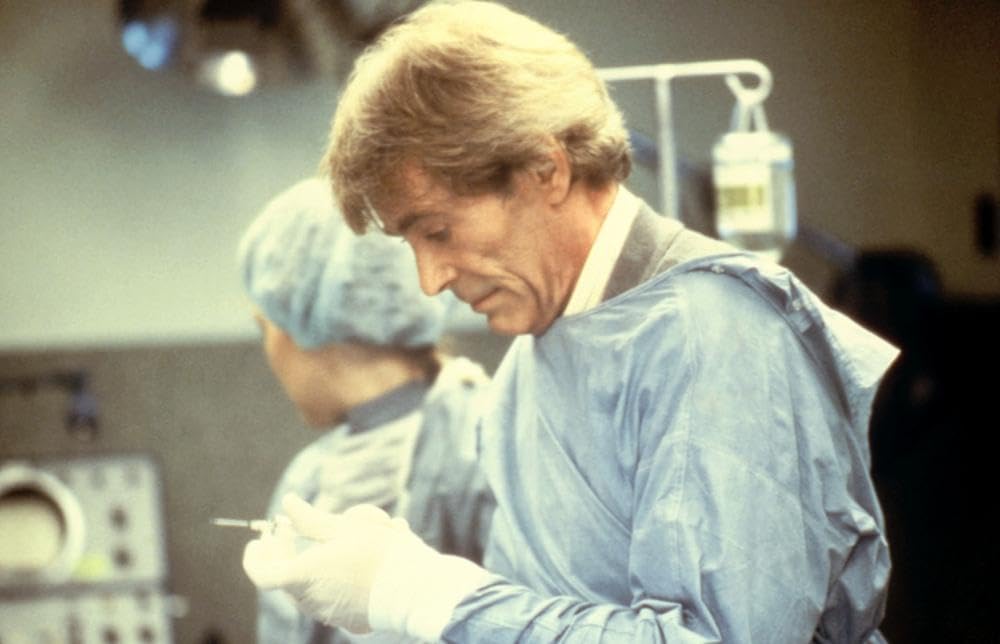 クリエイターの画像