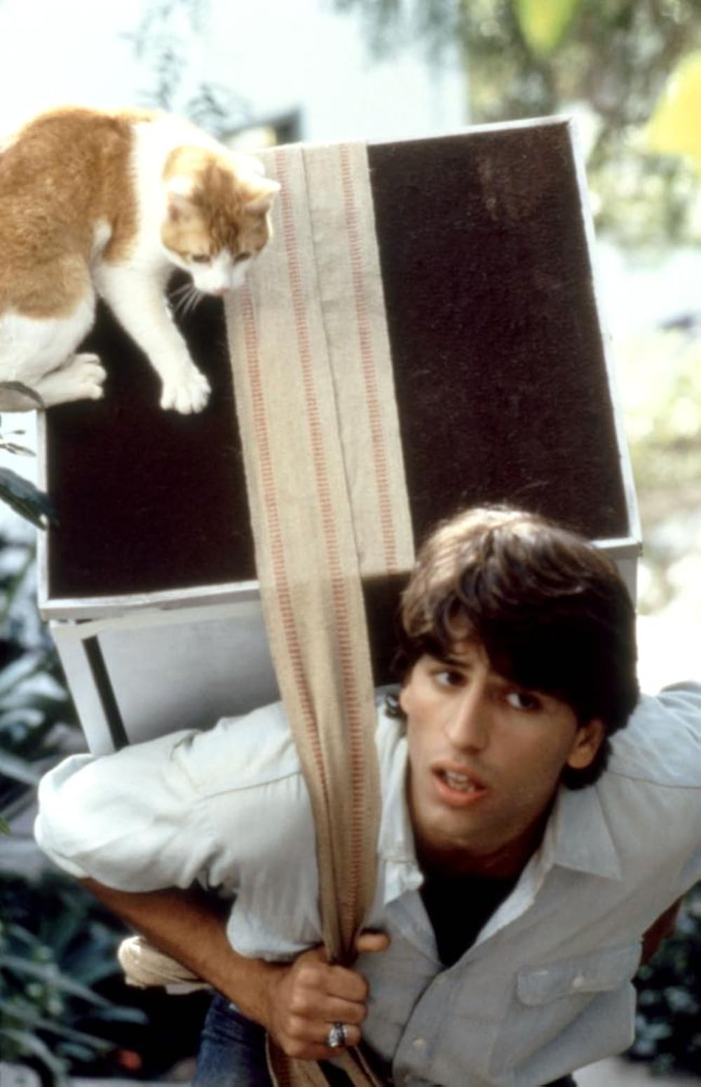 クリエイターの画像