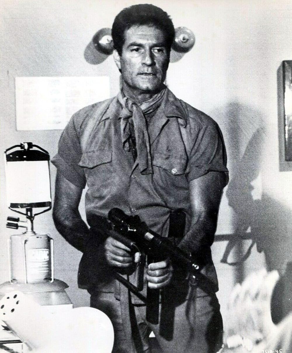 ダイヤモンドの犬たちの画像