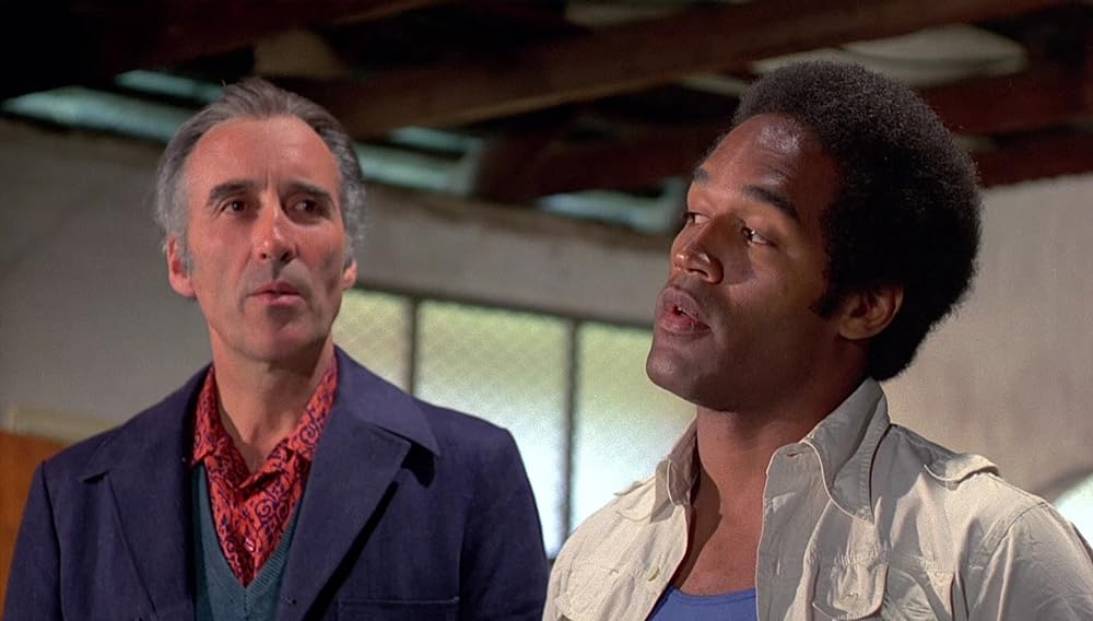 ダイヤモンドの犬たちの画像