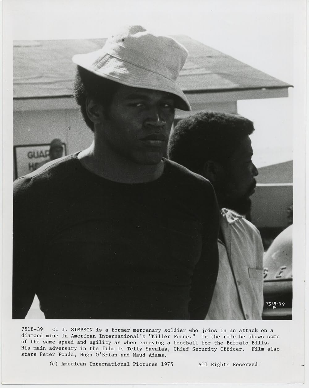 ダイヤモンドの犬たちの画像