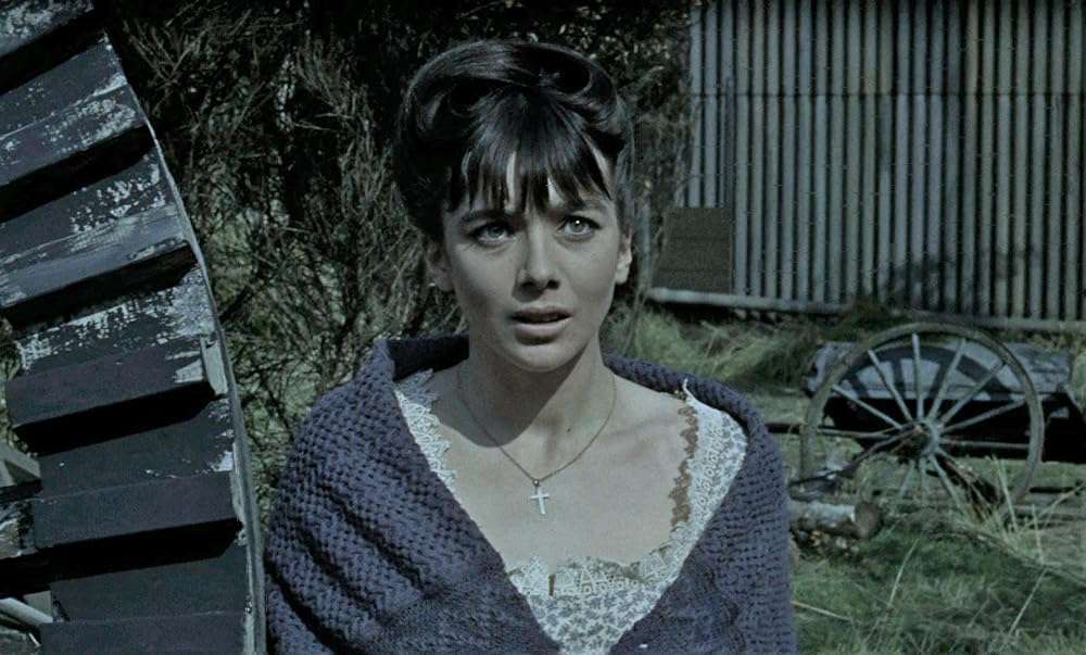 吸血ゾンビの画像