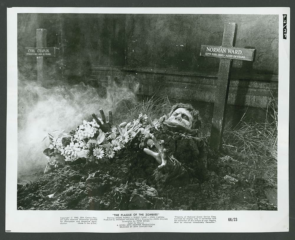 吸血ゾンビの画像