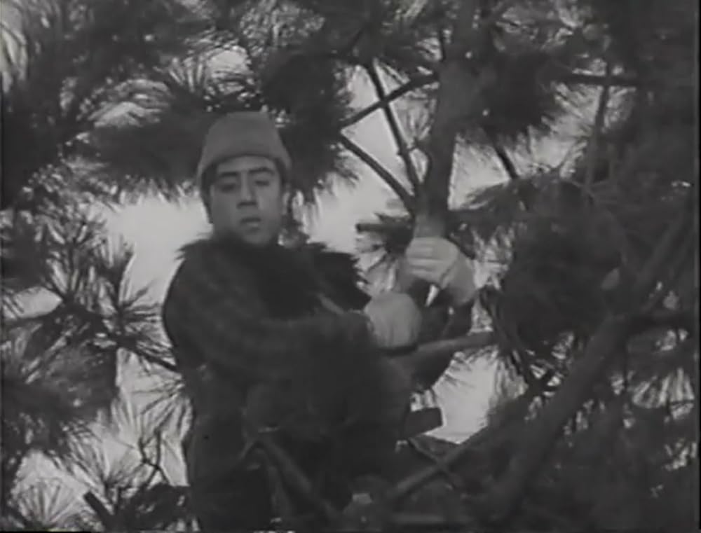 与太者と小町娘の画像