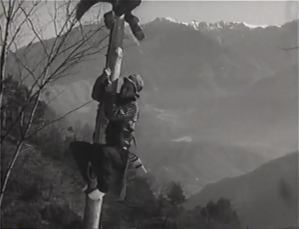 与太者と小町娘の画像