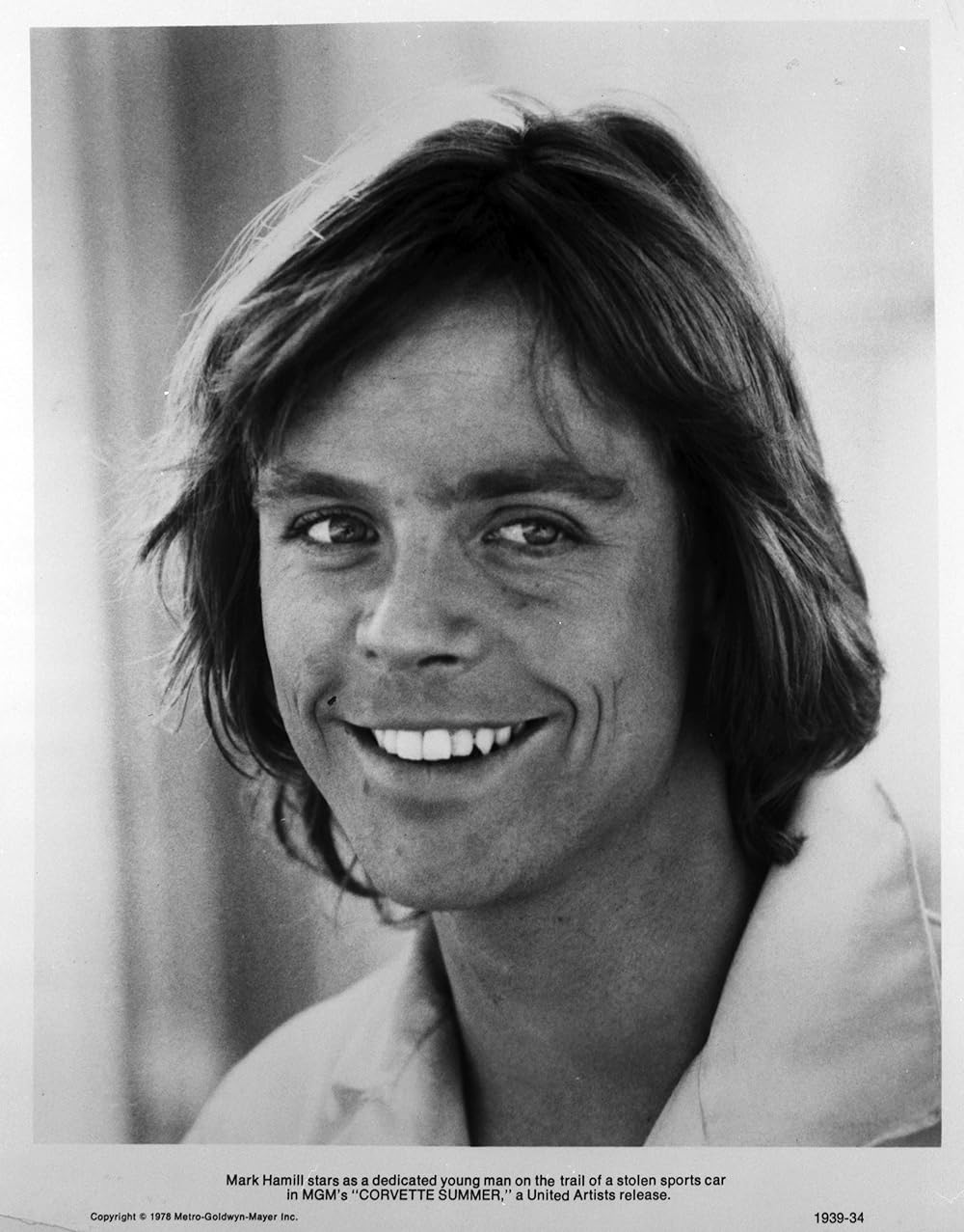 「コルベット・サマー」の画像