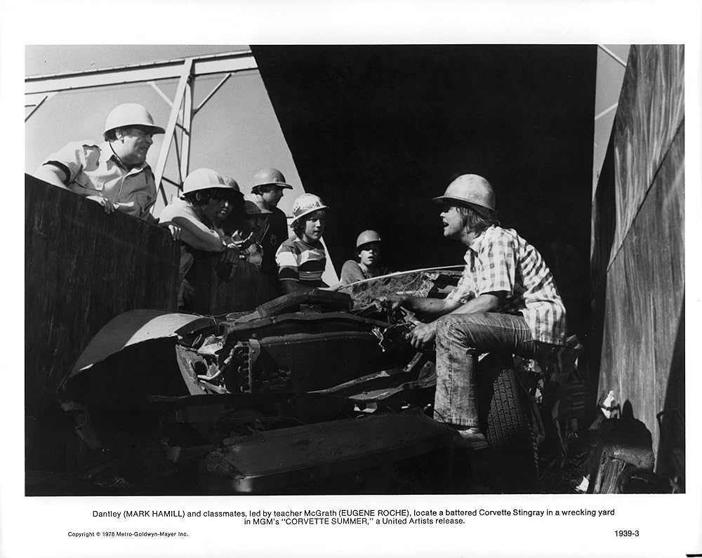 コルベット・サマーの画像