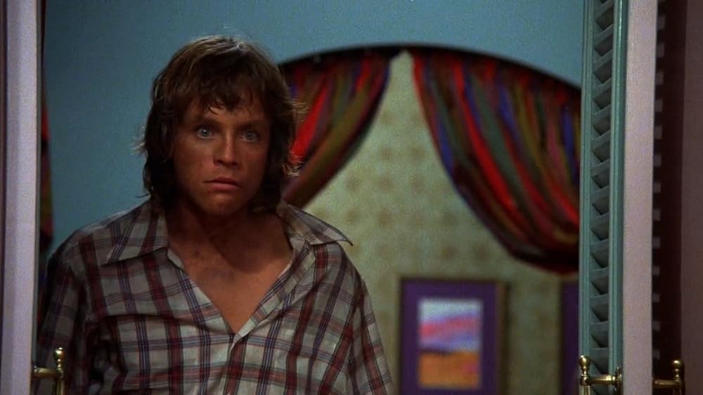 コルベット・サマーの画像