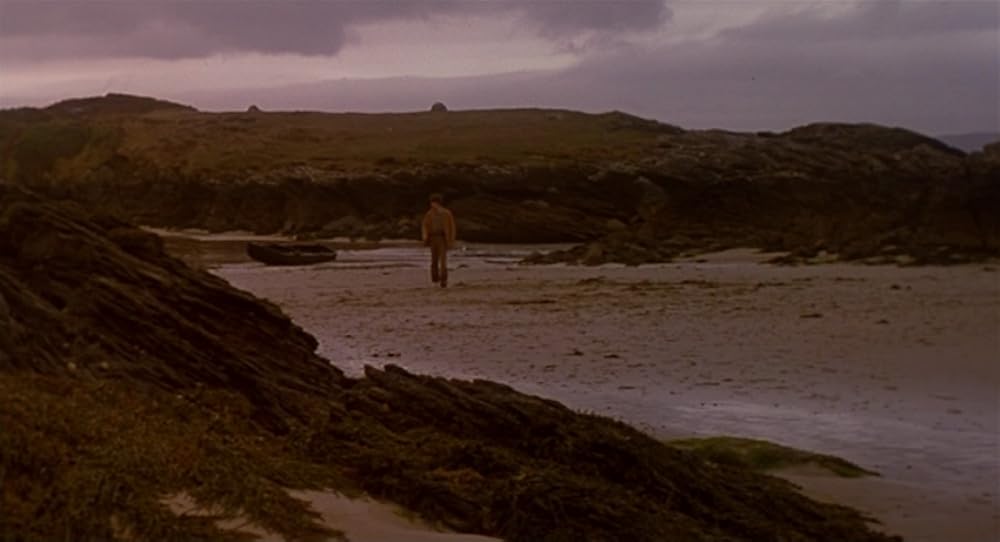 フィオナの海の画像