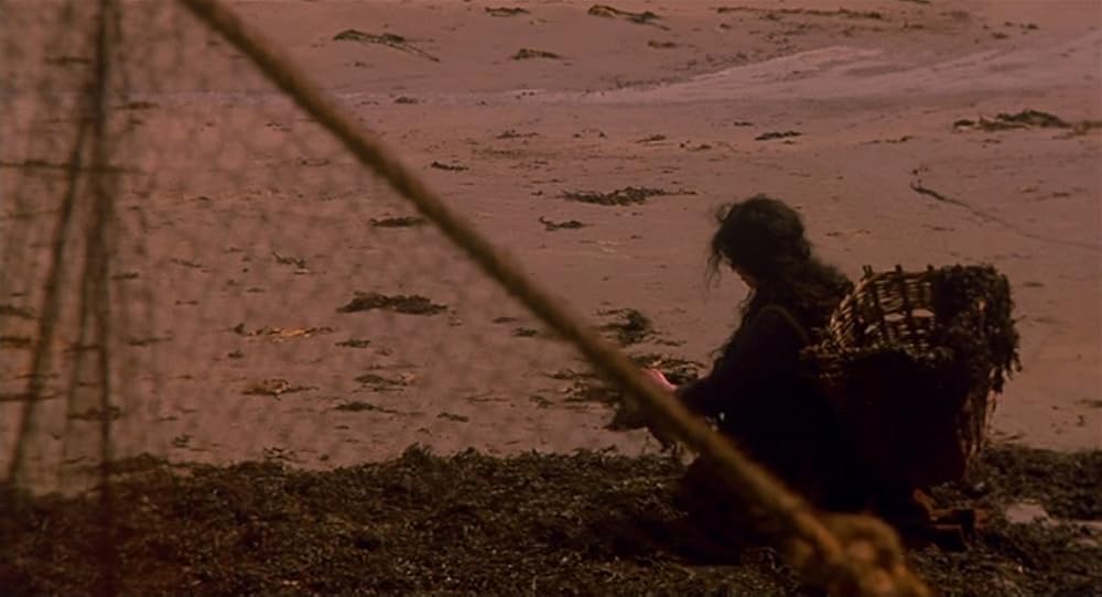 フィオナの海の画像