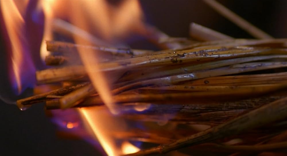 フィオナの海の画像