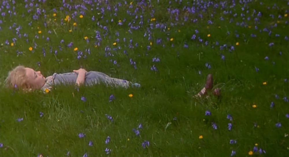 フィオナの海の画像