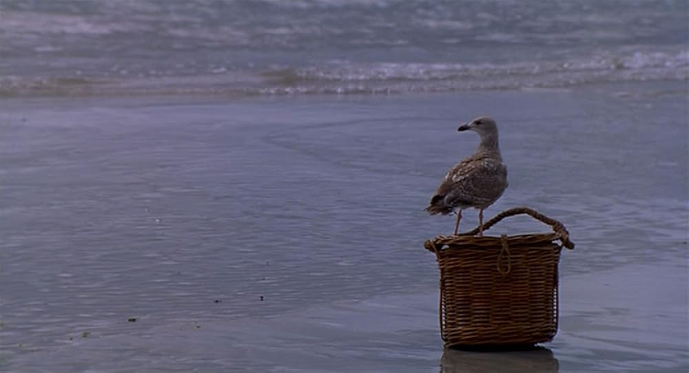 フィオナの海の画像