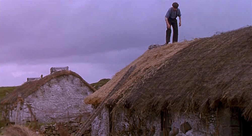 フィオナの海の画像